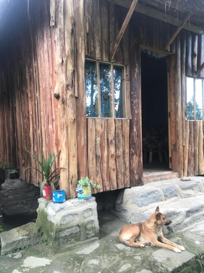 Kalitusi Nature Resort Fort Portal Екстер'єр фото